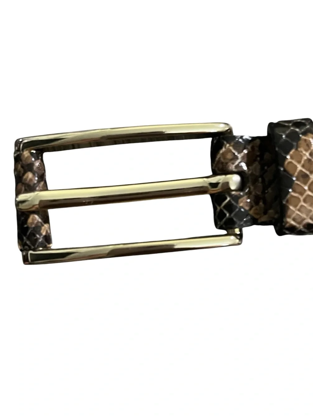 Banana Republic Snake Print Belt with Gold Buckle Size Small 